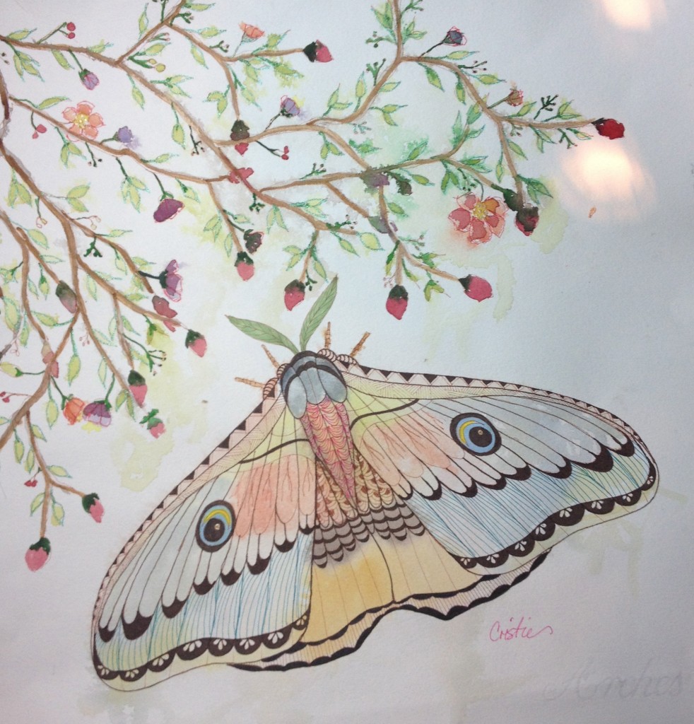 nature_s_sketchbook_1.jpg Dallas Arboretum and Botanical Garden Blog