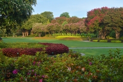 verdant-summer-color
