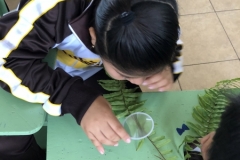 Students-at-San-Francisco-school-in-Puerto-Ayora-Santa-Cruz-Island-use-Dallas-Arboretum-hand-lenses-to-investigate-ferns-and-mosses-during-a-classroom-observation-by-Dustin-1