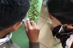 Students-at-San-Francisco-school-in-Puerto-Ayora-Santa-Cruz-Island-use-Dallas-Arboretum-hand-lenses-to-investigate-ferns-and-mosses-during-a-classroom-observation-by-Dustin-2