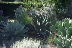 texas-native-plant-lab-1