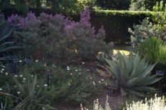 texas-native-plant-lab-2