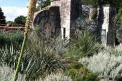 texas-native-plant-lab-3