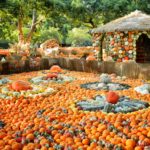 Autumn at the Arboretum Commemorates the Harvest Season
