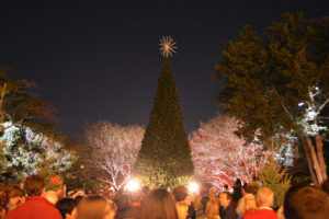holiday at the arboretum christmas tree lighting