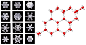 molecule diagram of snowflakes