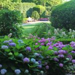 Hidden Gems – Discover Something New at the Dallas Arboretum