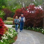 You Should Explore the Dallas Arboretum While It’s Raining – Why Precipitation Haters Are Missing out